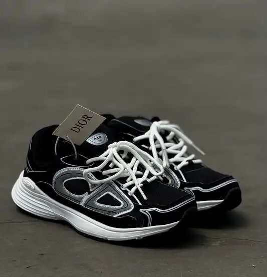 DIOR b30